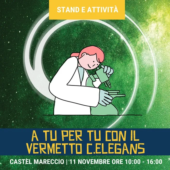 A tu per tu con il vermetto C.elegans