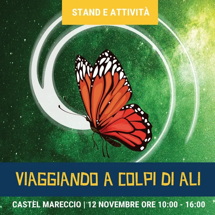 Viaggiando a colpi di ali