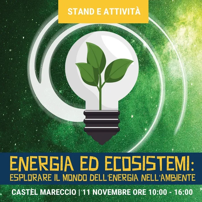 Energia ed ecosistemi